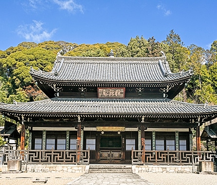 種類豊富な観光コース